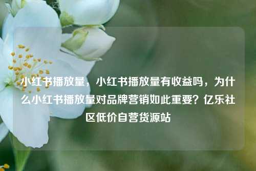 小红书播放量，小红书播放量有收益吗，为什么小红书播放量对品牌营销如此重要？亿乐社区低价自营货源站  第1张